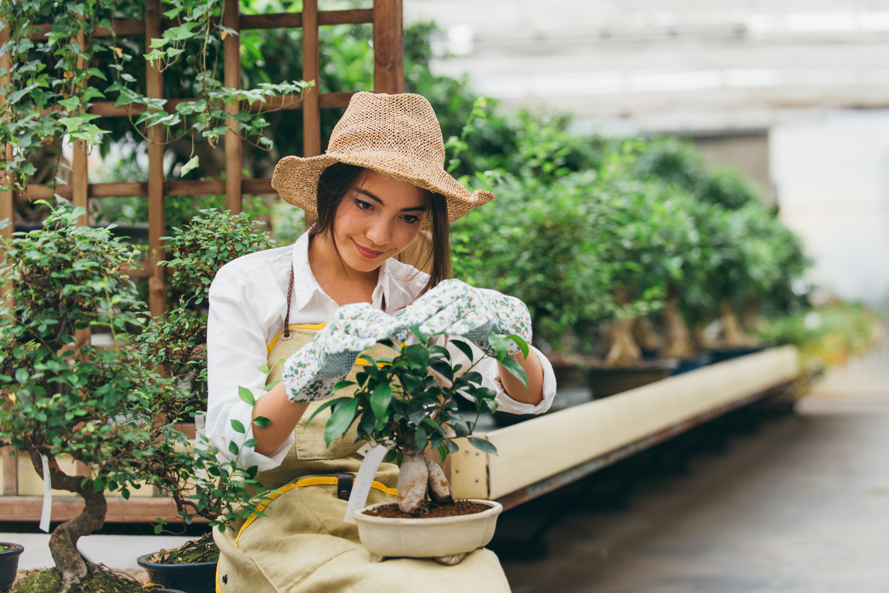 Beautiful Woman Working in a Greenhouse